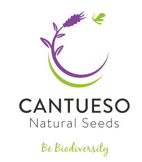 Cantueso Natural Seeds