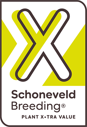 Schoneveld Breeding